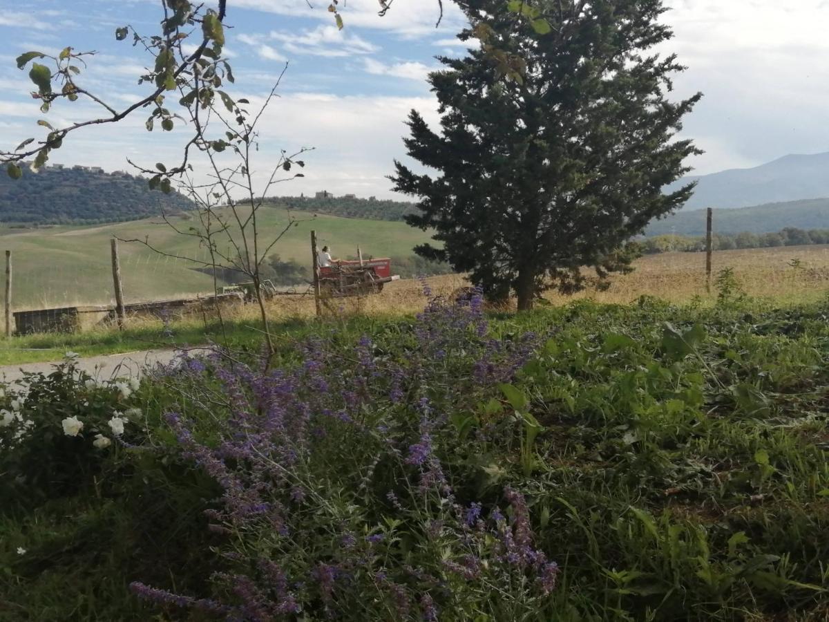 Agroturismo Podere Stabbiatelli Montenero d'Orcia